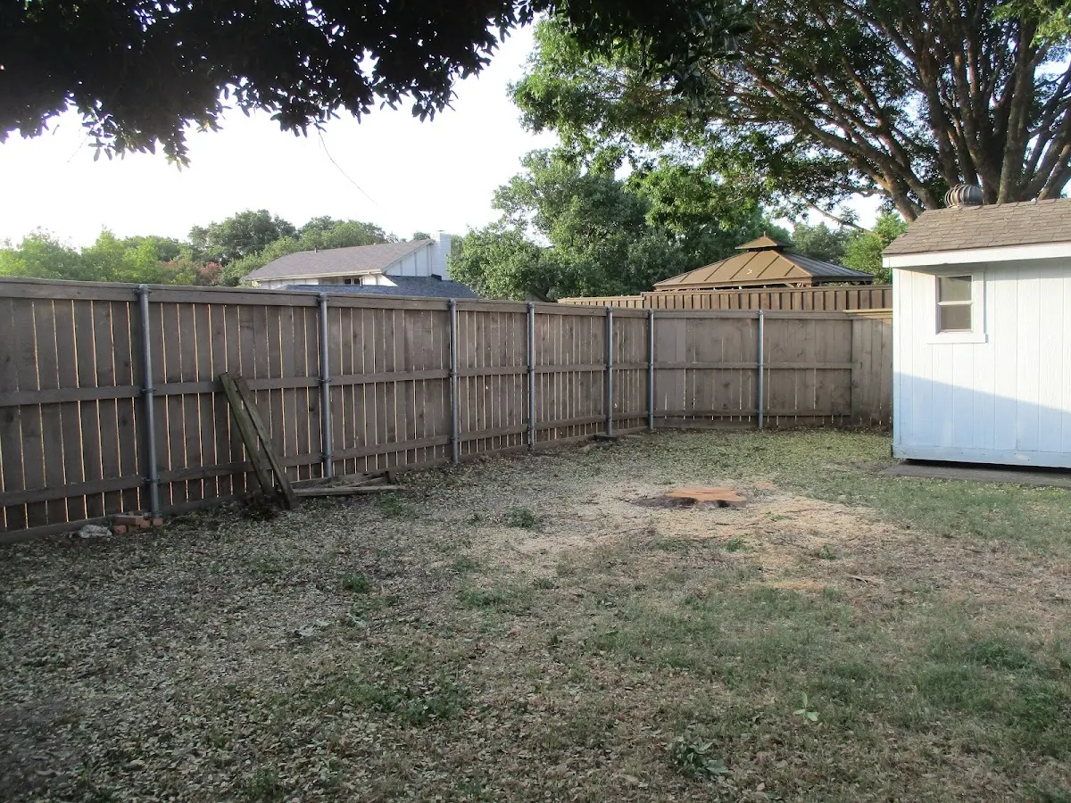 Cleared yard after professional tree removal in Vermillion