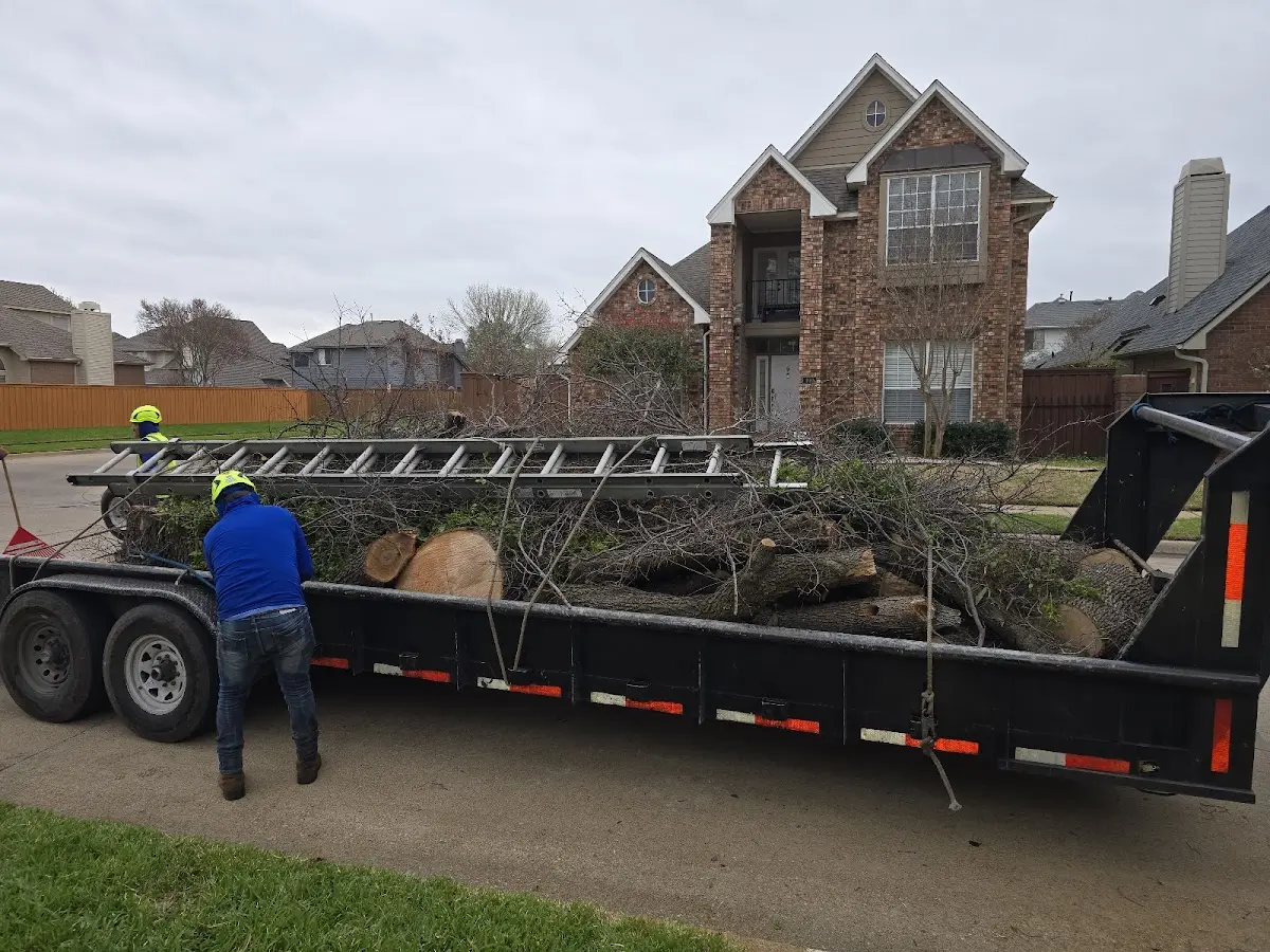 Expert Crown Reduction with proper safety equipment in Vermillion